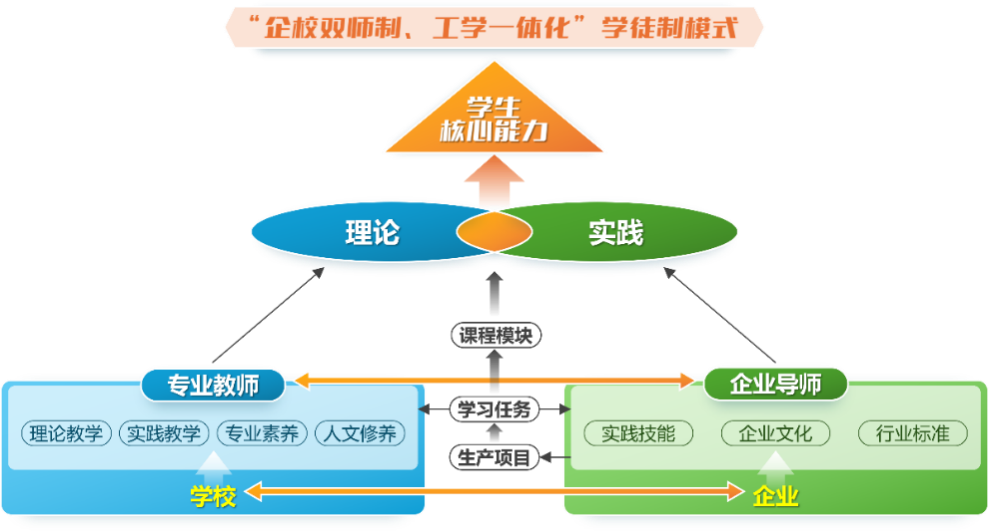 G:\1-特高和工程师学院建设\终期验收\项目视频\模式图、组织机构图\现代学徒制模式图.png